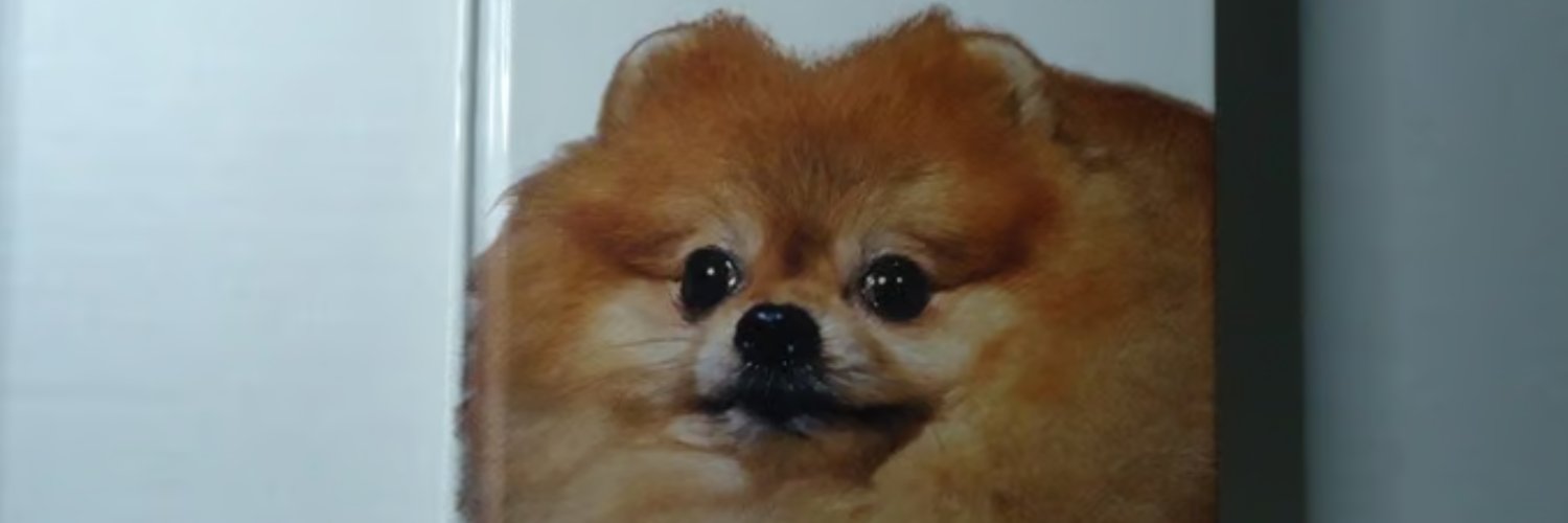 Storung's profile banner image