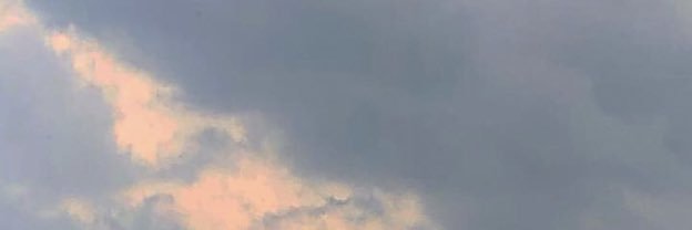 Anouk banner