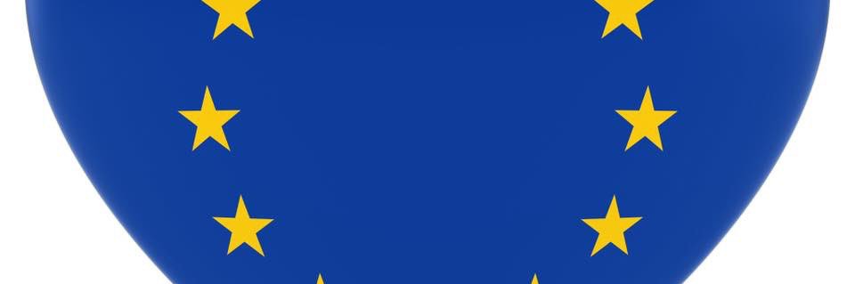 Woestijnboom banner
