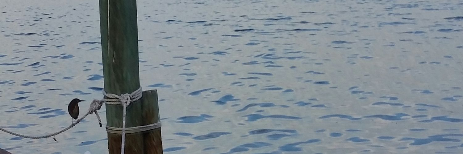 lynnek31's profile banner image