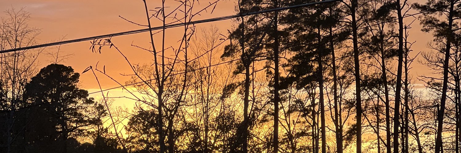 madiw__'s profile banner image