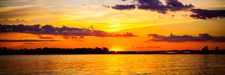 twilke11's profile banner image