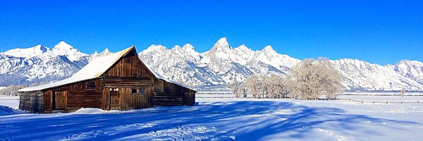 You_Found_Nimmo Profile Banner