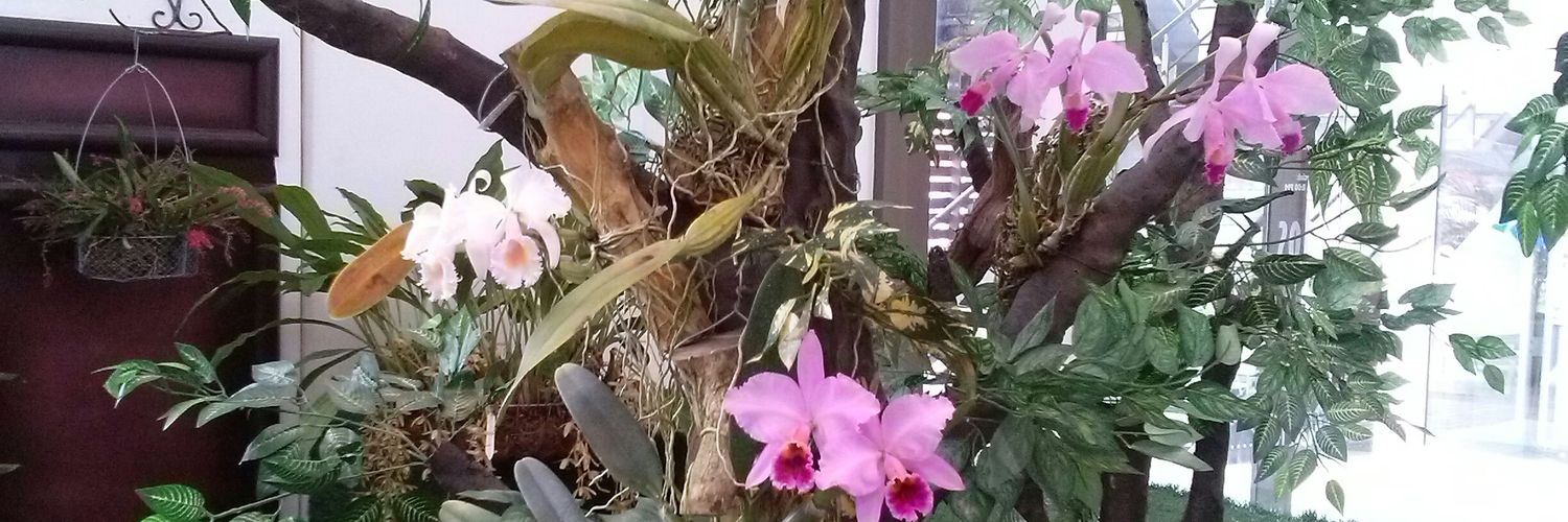 ruiz_cony's profile banner image