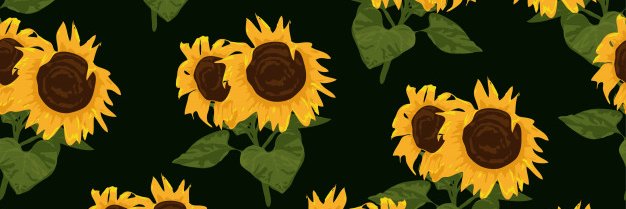 cxxa06's profile banner image