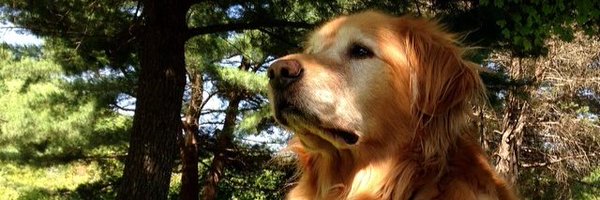 JillWD23 Profile Banner