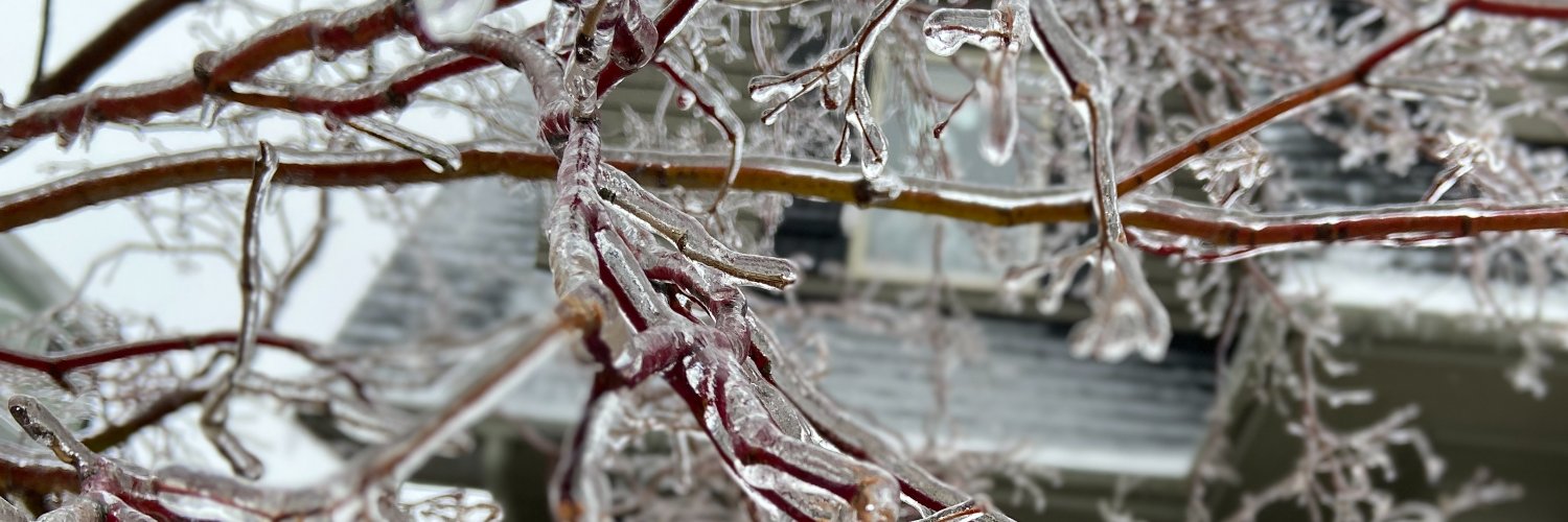 Angela Siegel banner