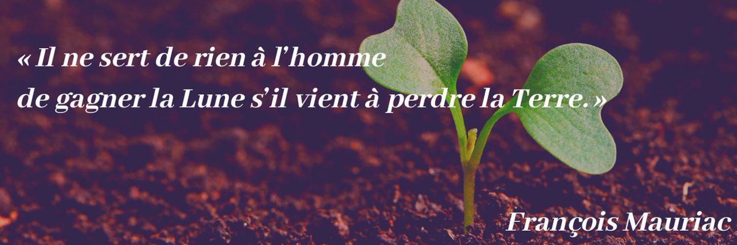 Nathalie Irisson banner