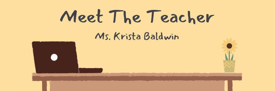 Krista Baldwin🌴 banner