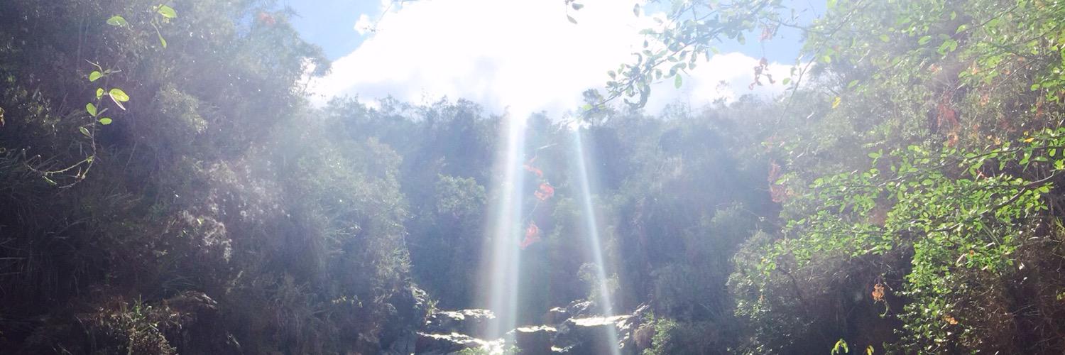 angelicafigue2's profile banner image