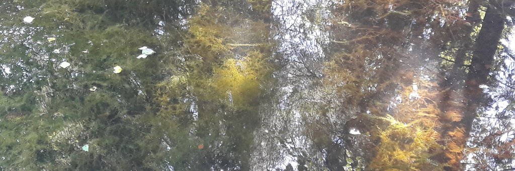 Inga Žolude banner