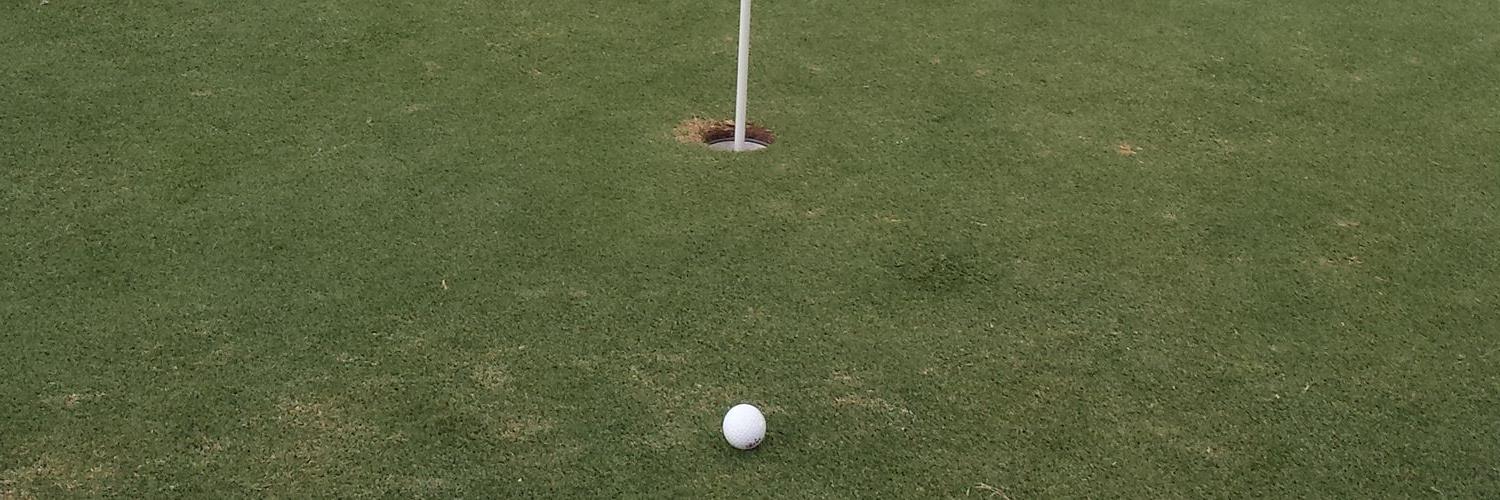 GolferTL's profile banner image