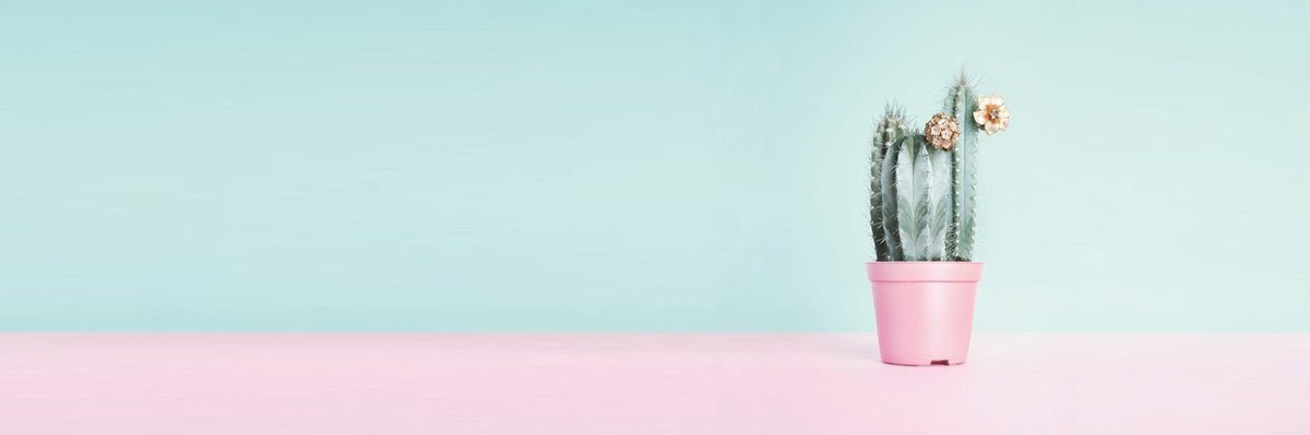 Espadonsa's profile banner image