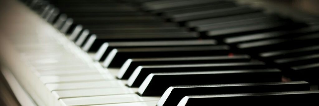 tania_ferher's profile banner image
