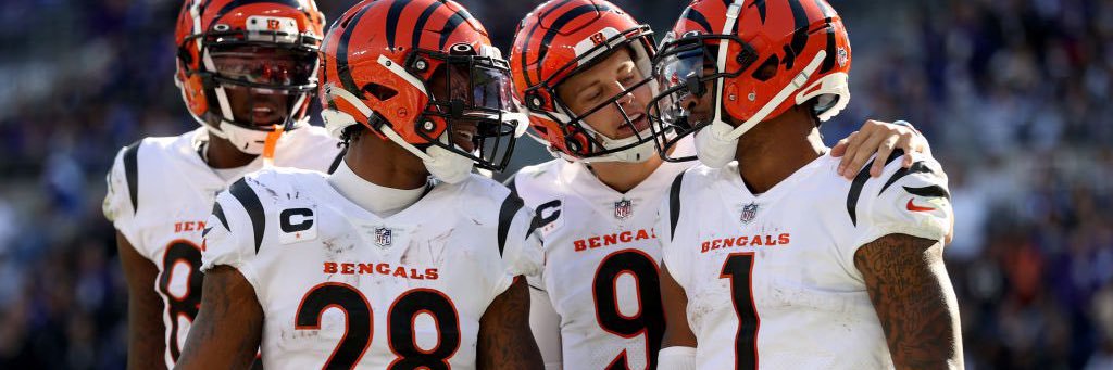 NolynSnowden's profile banner image