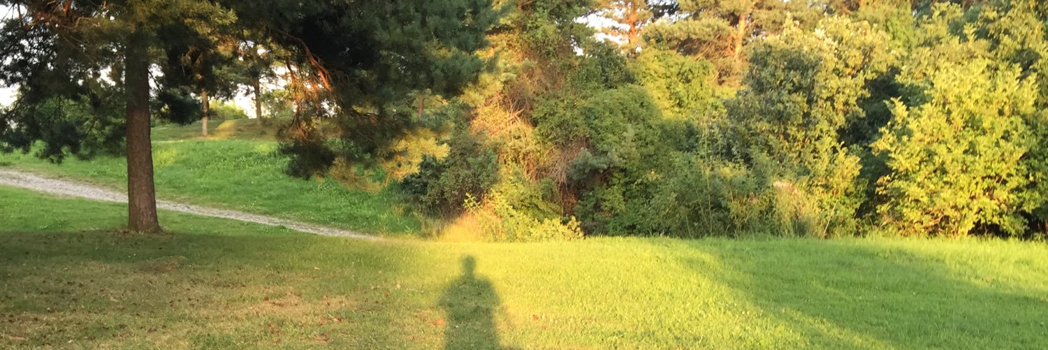 Razitron's profile banner image