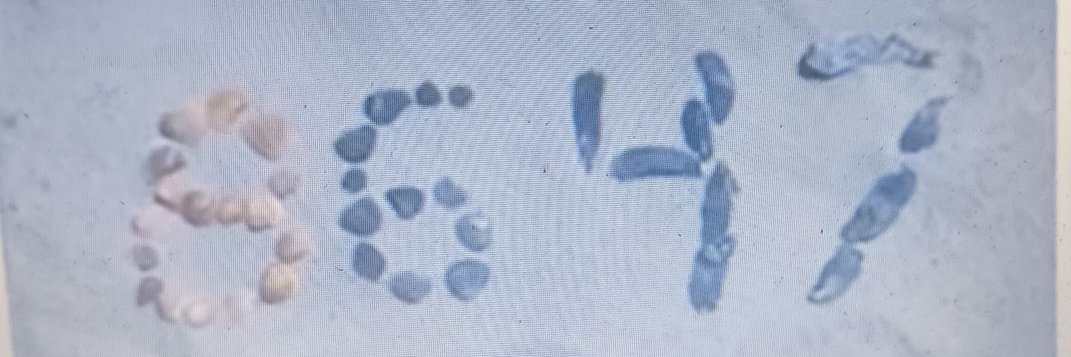 Trump's Day Lies In Flames banner