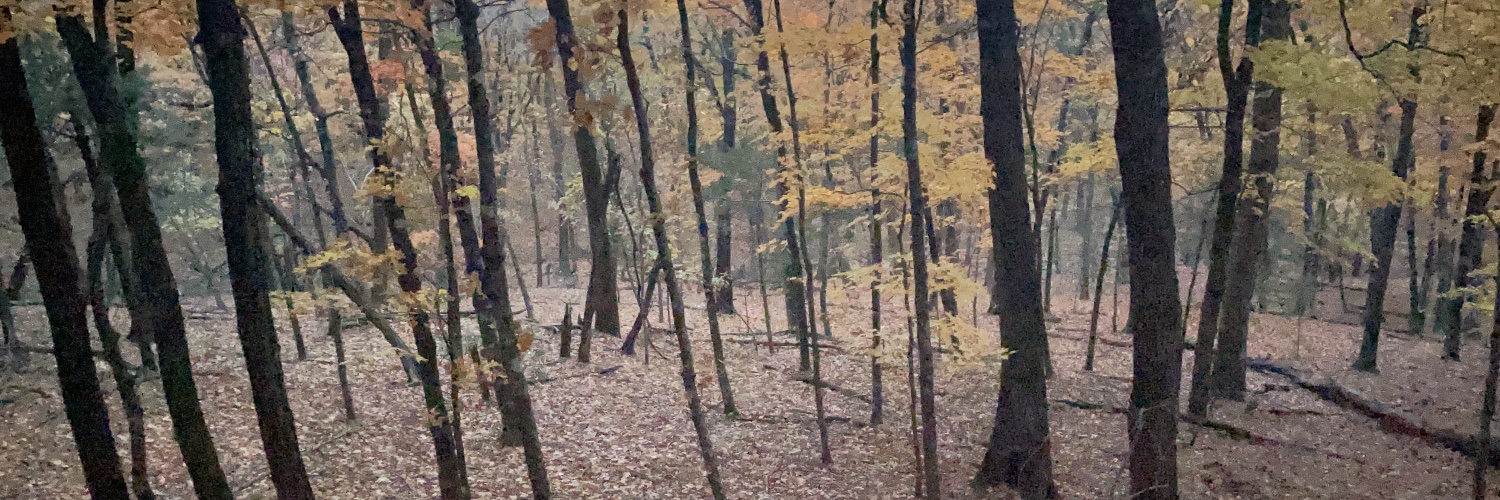 Cole Shinall banner