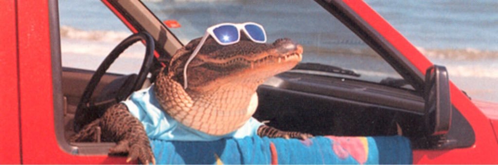 mckenziebiniker's profile banner image