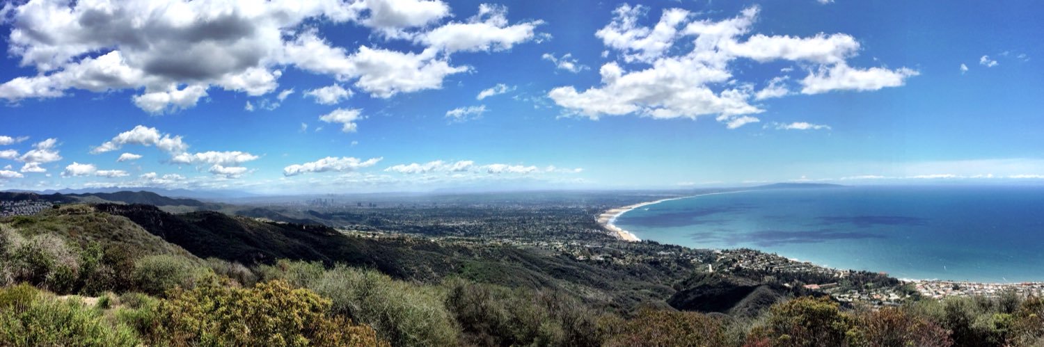 Andy Sternberg banner