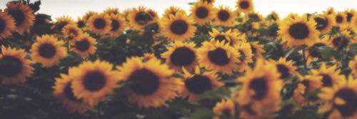 Denson_314's profile banner image