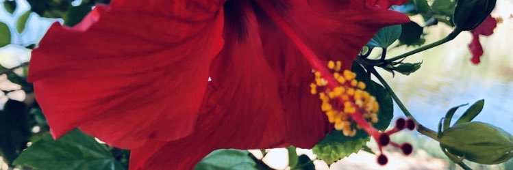 Bobbi_12's profile banner image