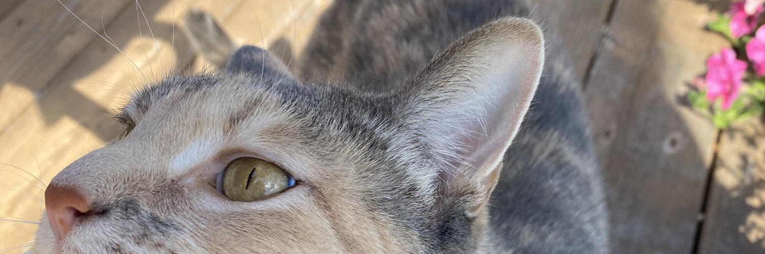 jocelynstagram's profile banner image