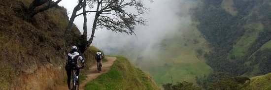 AlejandroRochel's profile banner image
