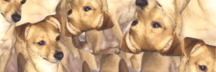 cooklinnn's profile banner image