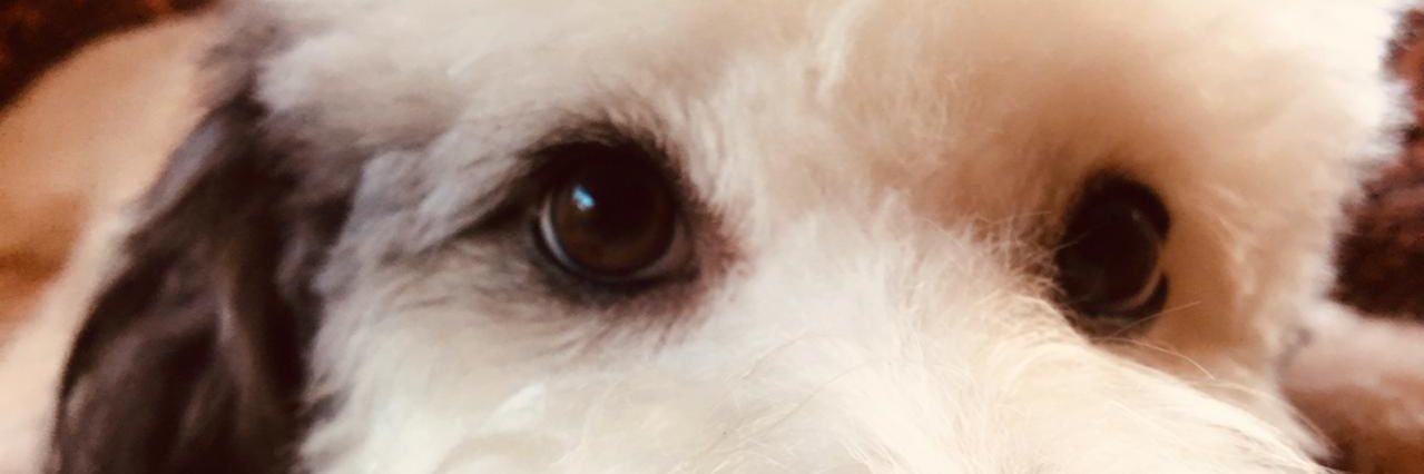 rasec_martinez's profile banner image