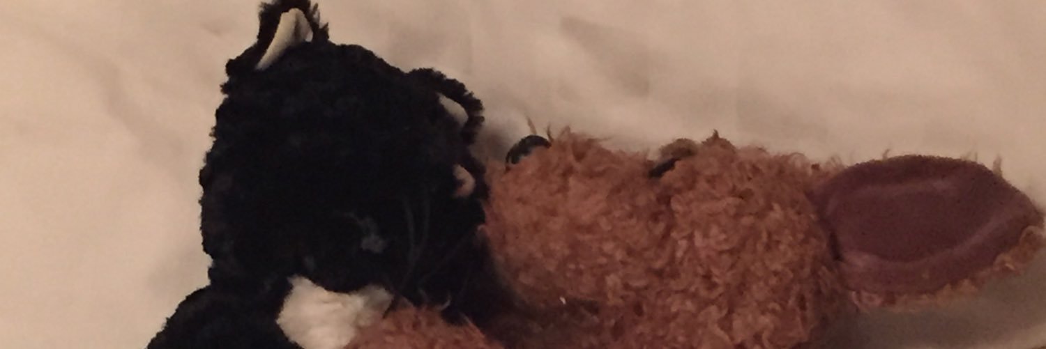 wyasb5's profile banner image