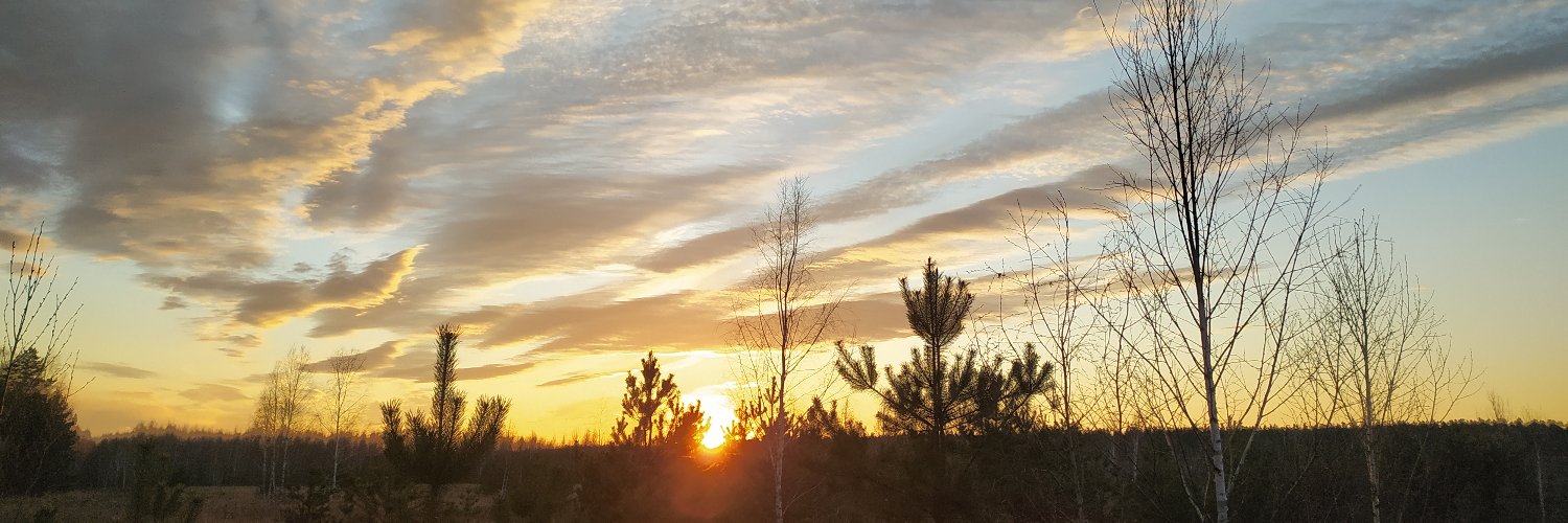 Ox1Action's profile banner image