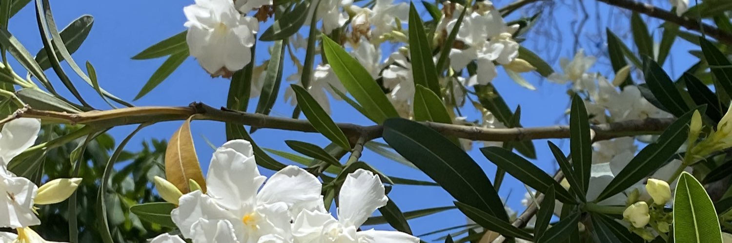 zynptrk22's profile banner image