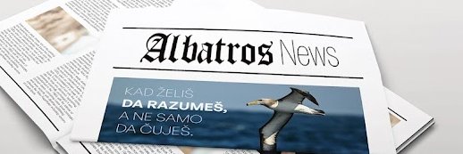 Nenad (Zorzi) Zorić banner