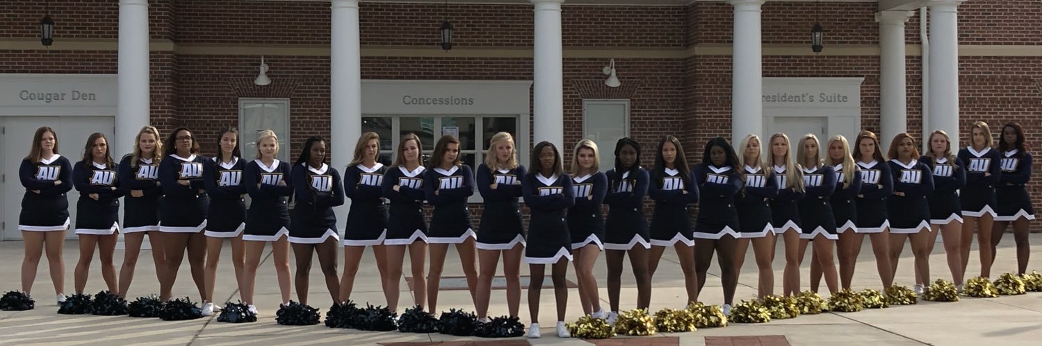 Averett Cheerleading banner