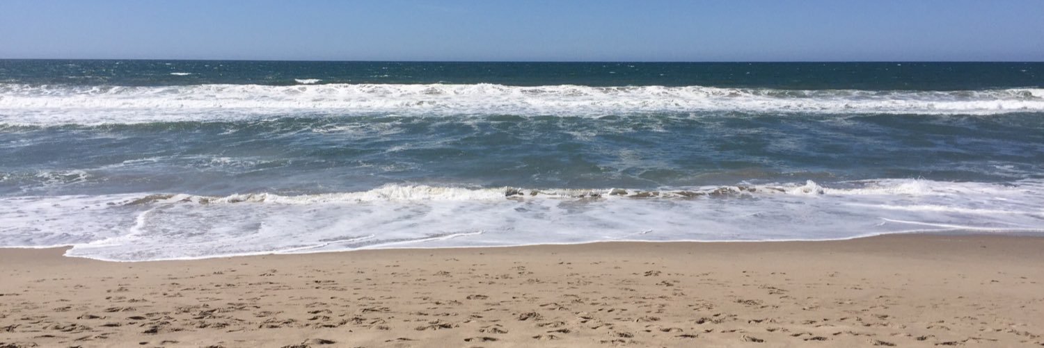 SavannahJane9's profile banner image