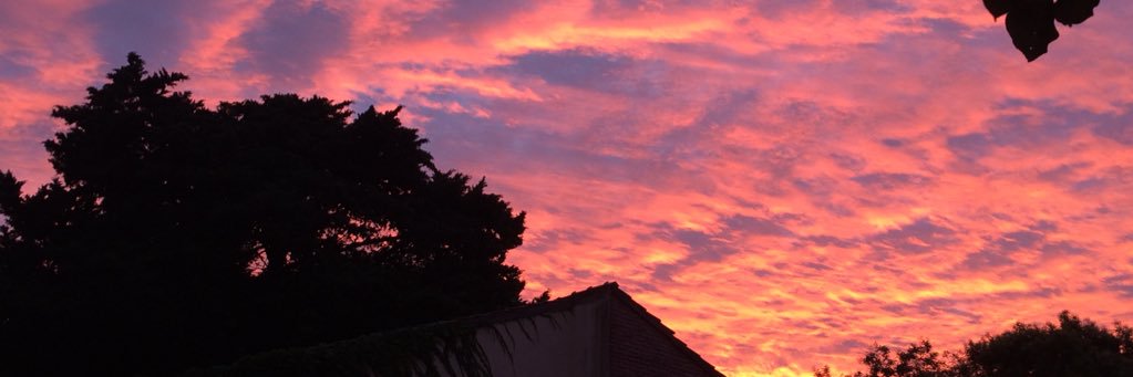 flormedina0's profile banner image