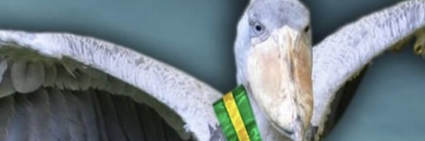 Jaczinha 🐾. ⃠ 🤸🏻. 💜 banner