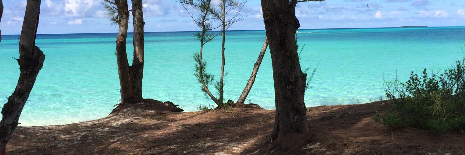 Jamieereed98's profile banner image