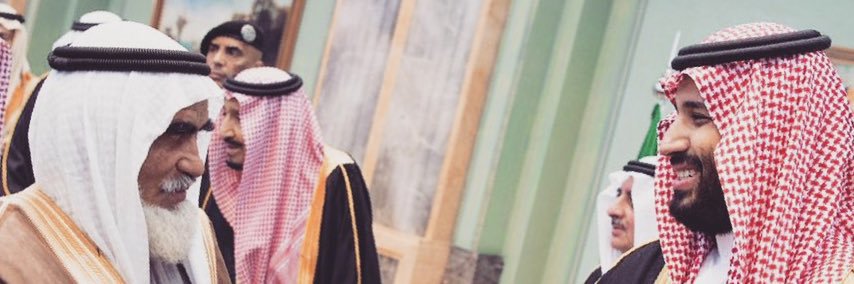 TurkiAlblowi's profile banner image
