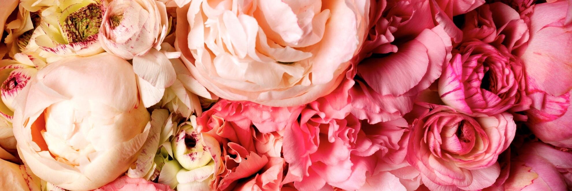 lonadelery's profile banner image