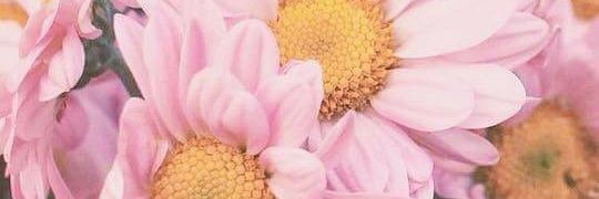 BriguitteJ's profile banner image