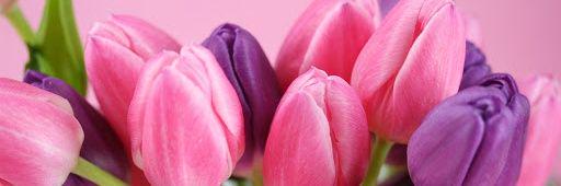 imaSadiyah's profile banner image