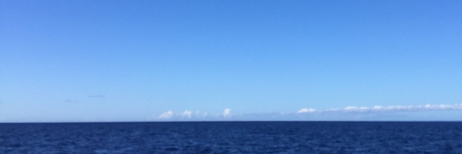 gustokoasul's profile banner image