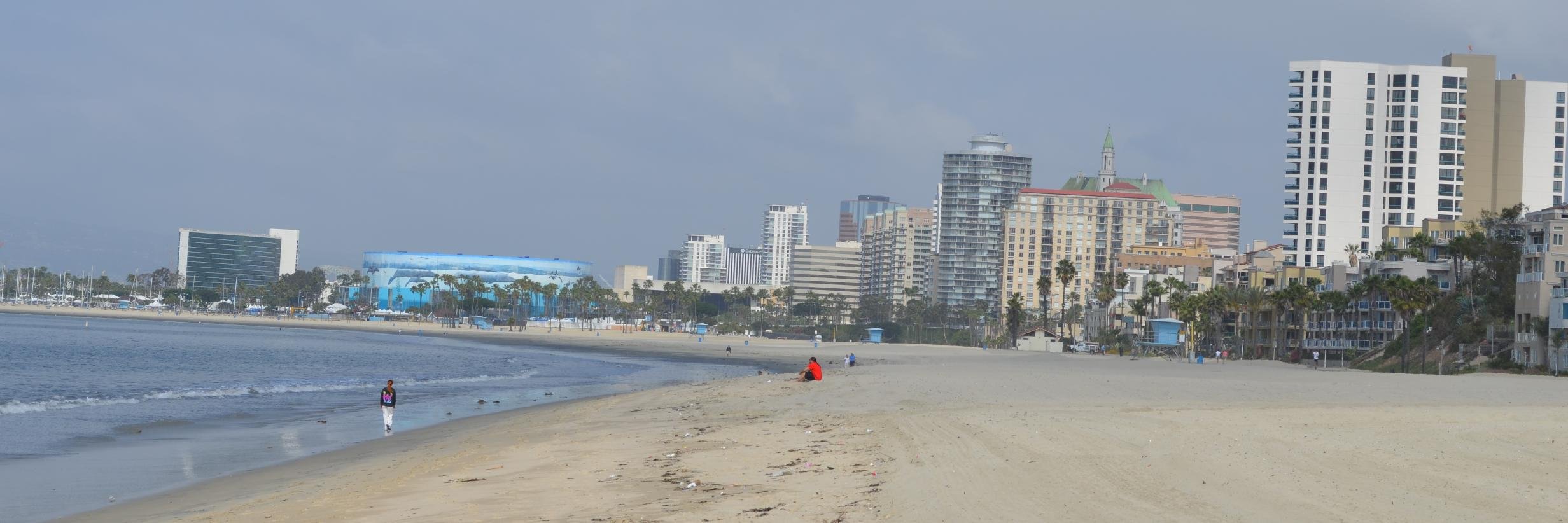 Suja Lowenthal banner