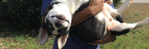 chrisanchez123 Profile Banner