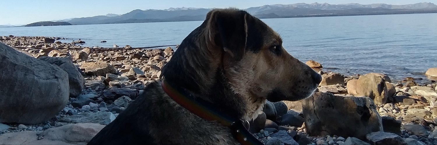 catacosarinsky's profile banner image