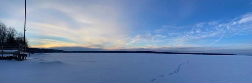 Michaela Kargus banner