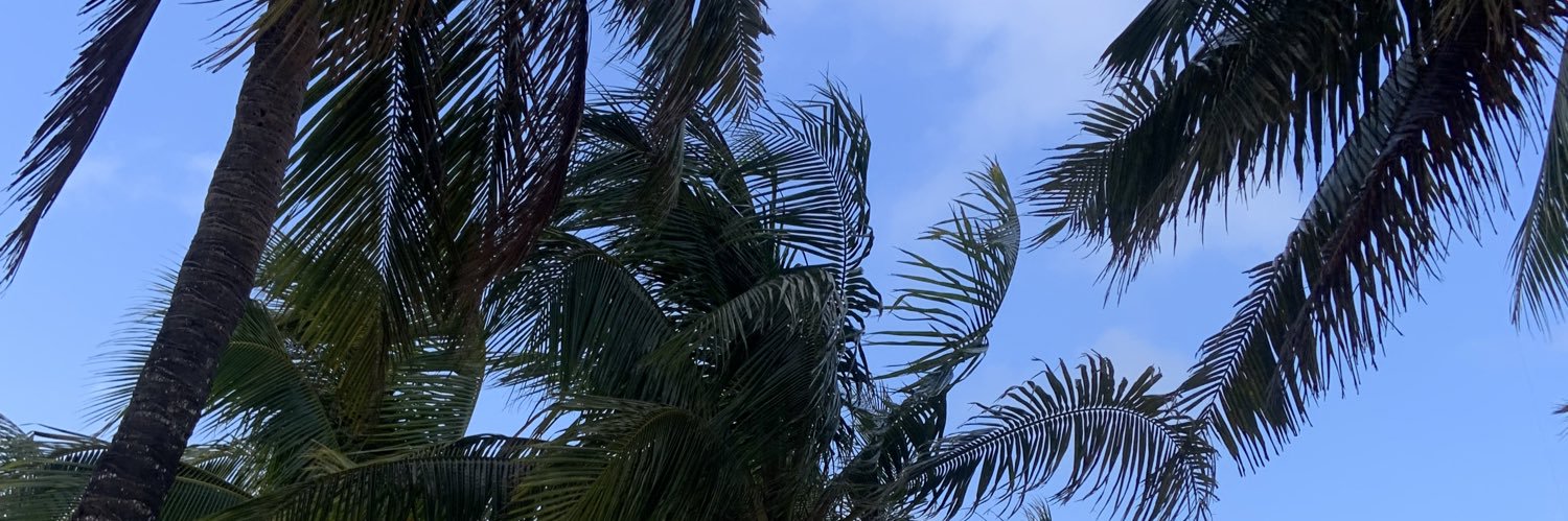 andreastg's profile banner image