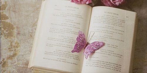 life2ua's profile banner image